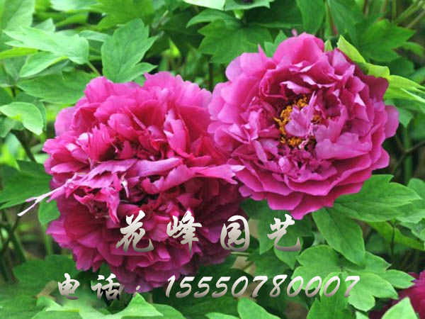 戳我试试